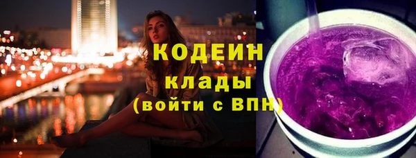 ПСИЛОЦИБИНОВЫЕ ГРИБЫ Арсеньев