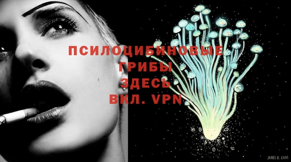 apvp Армянск
