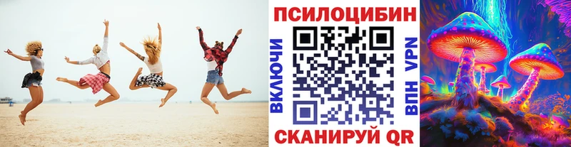 Галлюциногенные грибы Psilocybe Беслан