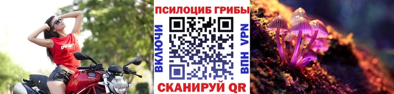 ОМГ ОМГ маркетплейс  нарко площадка формула  Псилоцибиновые грибы Psilocybe  Беслан 